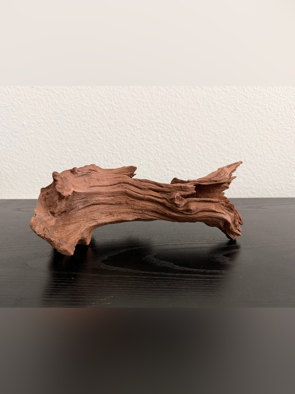 【SOLD】Natural Driftwood Decorative Accent - fish tank or reptiles decoration